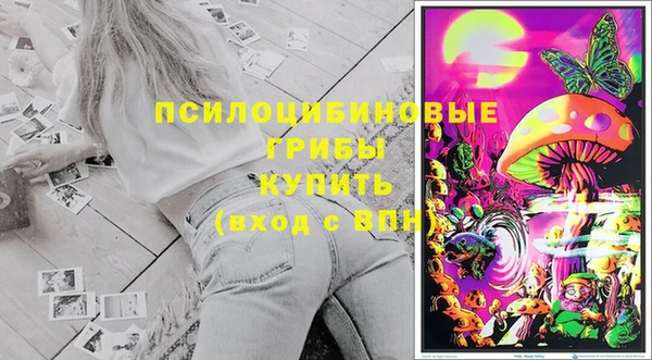 мдпв Пролетарск