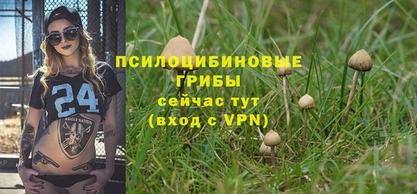 каннабис Елабуга