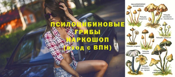 ALPHA-PVP Елизово