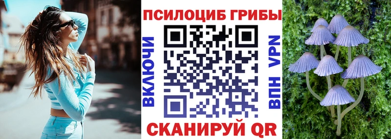 Псилоцибиновые грибы прущие грибы  Себеж 